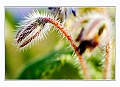 070414-15_Lussault_57 copie